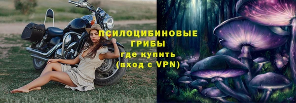 стаф Алексеевка