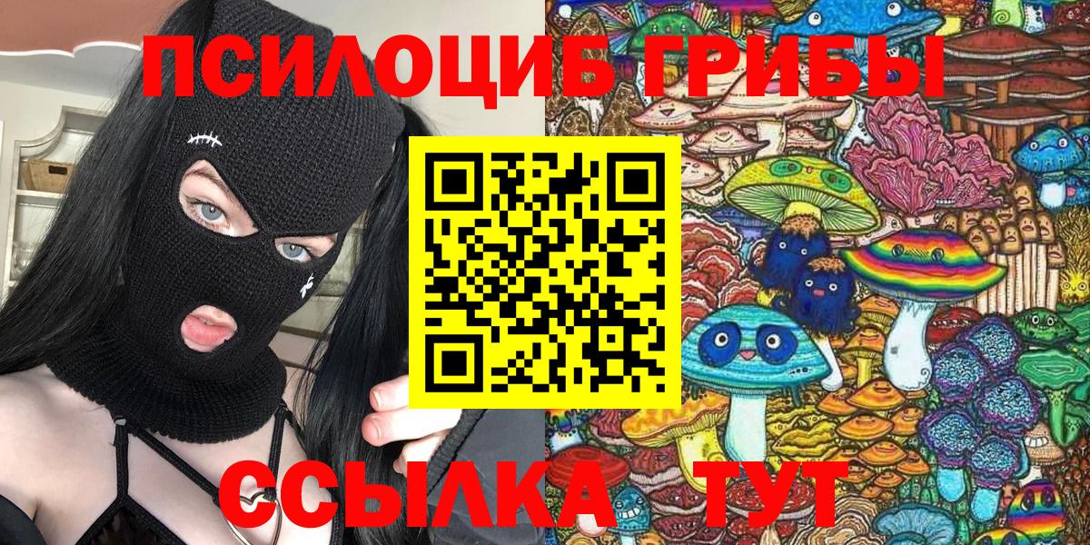 Галлюциногенные грибы Cubensis Кулебаки