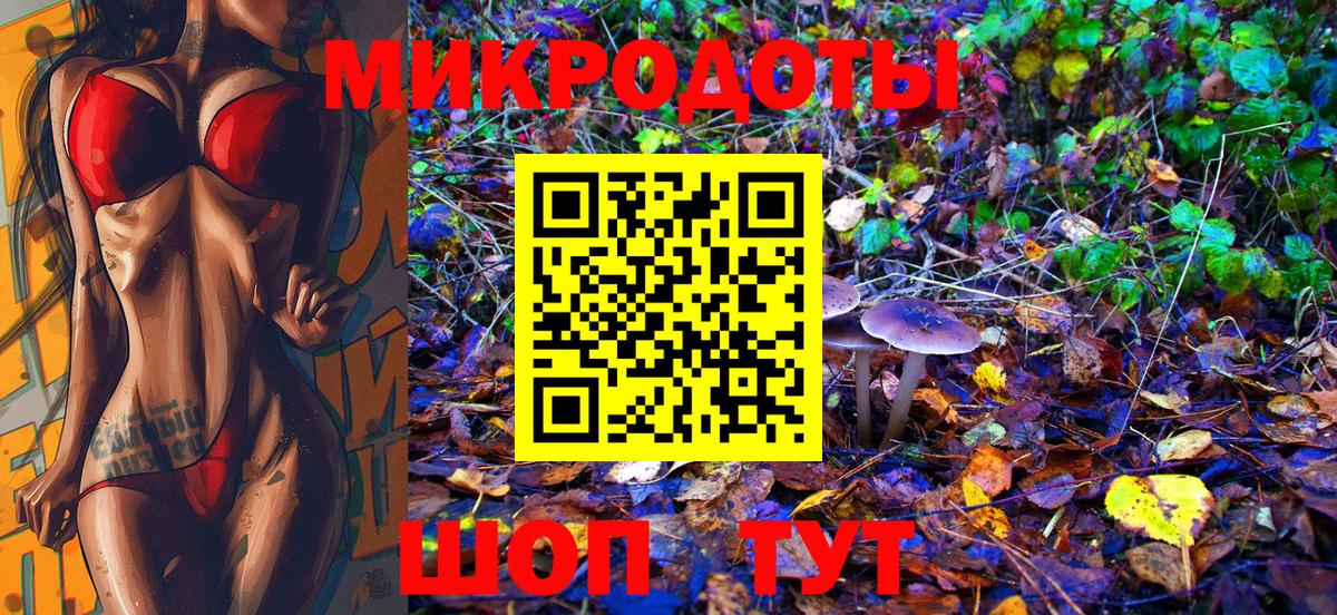 ГАШ Кулебаки