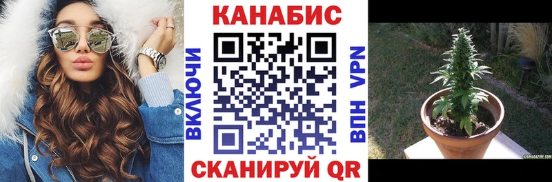 Шишки марихуана Bruce Banner Кулебаки